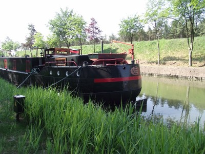 2011_05052010_12050105.JPG (340.2 Kio) Vu 963 fois 2011_05052010_12050105.JPG