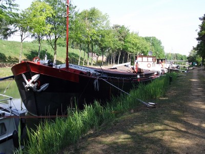 2011_05052010_12050106.JPG (337.55 Kio) Vu 3191 fois 2011_05052010_12050106.JPG