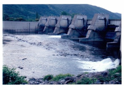 glunavril 11.jpg (156.2 Kio) Vu 1398 fois glunavril 11.jpg