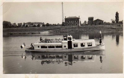 cygne a tournus saone   .jpg