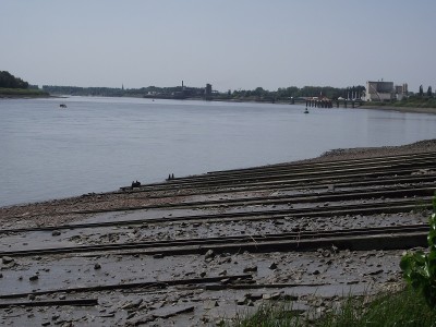 2011_05212010_12050006.JPG (253.2 Kio) Vu 12472 fois 2011_05212010_12050006.JPG