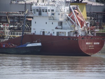 2011_05212010_12050008.JPG (268.32 Kio) Vu 4831 fois 2011_05212010_12050008.JPG