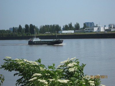 IMG_2059.JPG