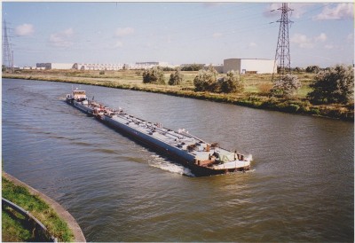 gatinais arras 001 red.jpg (181.86 Kio) Vu 3448 fois gatinais arras 001 red.jpg