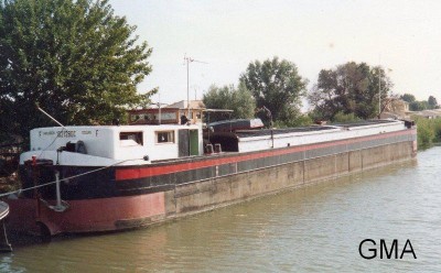 cedrat-aigue morte-xx-08-1988rd.JPG