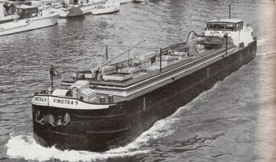 VINOTRA 9 (dét).jpg