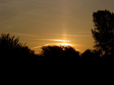 001.JPG (99.26 Kio) Vu 7923 fois 001.JPG