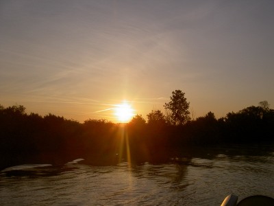 002.JPG (120.71 Kio) Vu 7923 fois 002.JPG