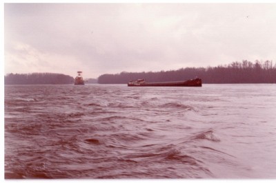 vison.jpg (73.94 Kio) Vu 1758 fois vison.jpg