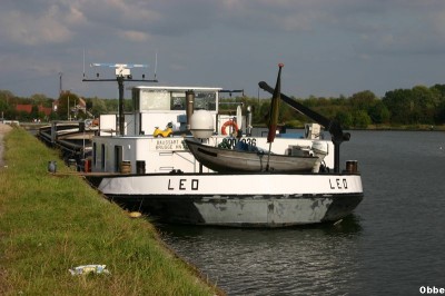 Leo 15.jpg