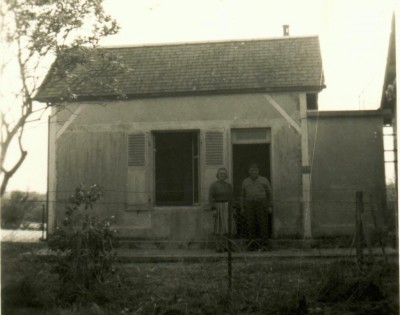 la puce 1.jpg (70.86 Kio) Vu 3352 fois la puce 1.jpg