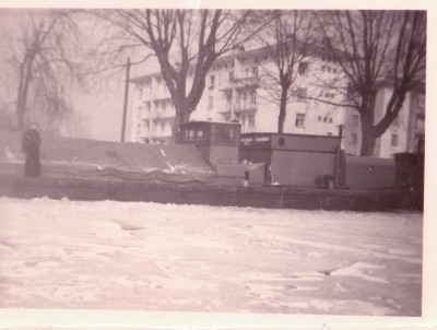 glace 1956stlx.jpg