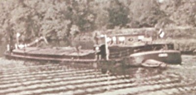 tamsa - initiales M D.jpg