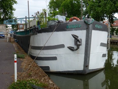 P1000116 (vagus).JPG