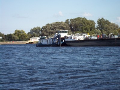 014 (Copier).JPG (133.86 Kio) Vu 8070 fois 014 (Copier).JPG