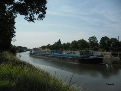 SAM_0207.JPG (117.83 Kio) Vu 21326 fois SAM_0207.JPG