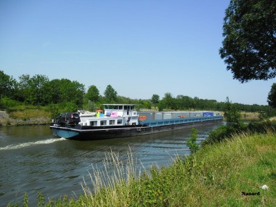 SAM_0210.JPG (165.2 Kio) Vu 21484 fois SAM_0210.JPG