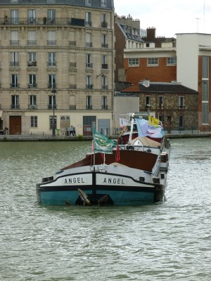 P1020119ANGEL.jpg (189.59 Kio) Vu 3761 fois P1020119ANGEL.jpg