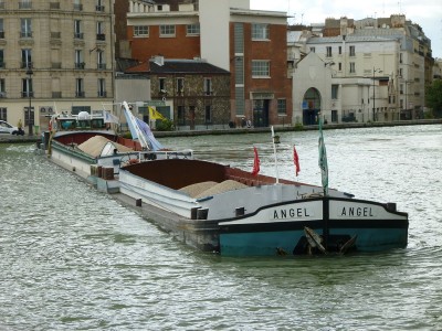 P1020121ANGEL.jpg (206.45 Kio) Vu 3759 fois P1020121ANGEL.jpg