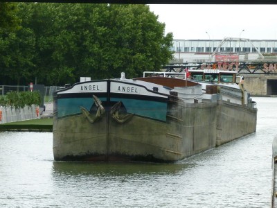 P1020159ANGEL.jpg (167.77 Kio) Vu 3759 fois P1020159ANGEL.jpg