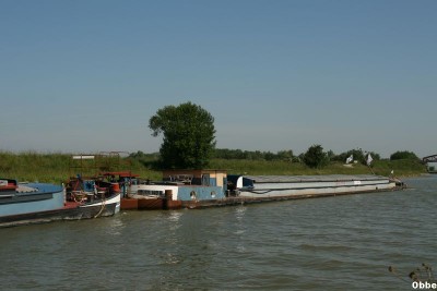 Saturnin Fidelis 09.JPG (56.25 Kio) Vu 5072 fois Saturnin Fidelis 09.JPG