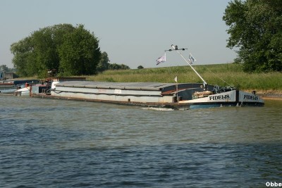 Saturnin Fidelis 04.JPG