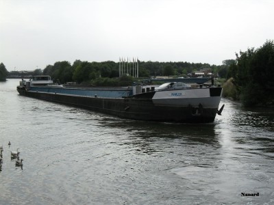 SAM_0247.JPG
