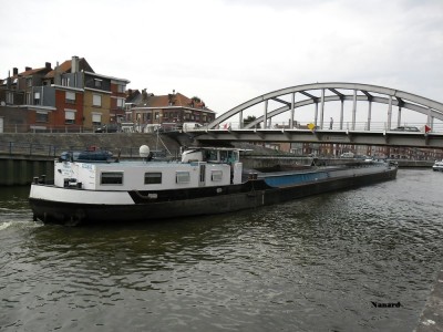 SAM_0251.JPG