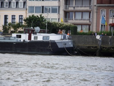aligator (2).JPG (295.82 Kio) Vu 2764 fois aligator (2).JPG