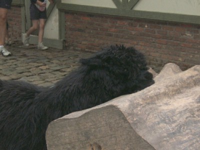 2008_0715x20019.JPG