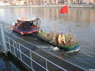 Veronique 03.JPG (114.46 Kio) Vu 1555 fois Veronique 03.JPG