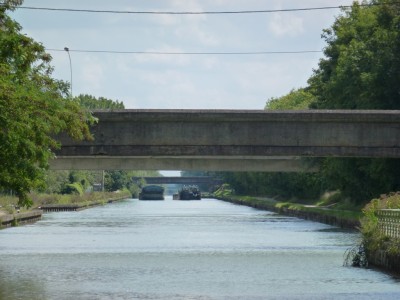 P1000753 (vagus).JPG (179.74 Kio) Vu 2425 fois P1000753 (vagus).JPG