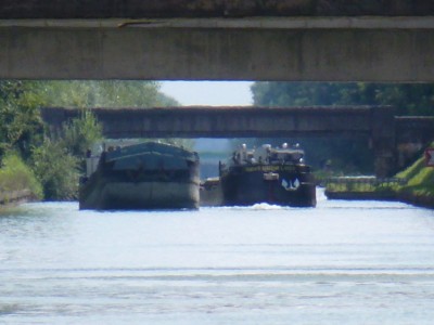 P1000755 (vagus).JPG (141.09 Kio) Vu 2432 fois P1000755 (vagus).JPG