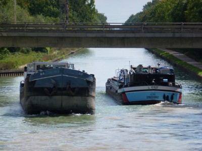 P1000772 (vagus).JPG (206.55 Kio) Vu 2432 fois P1000772 (vagus).JPG