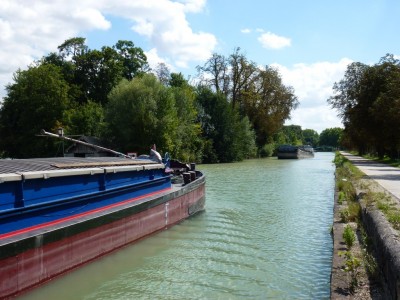 P1000801 (vagus).JPG (247.8 Kio) Vu 2433 fois P1000801 (vagus).JPG