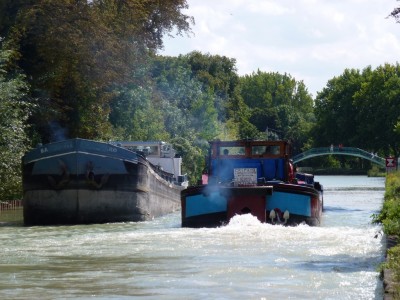 P1000807 (vagus).JPG (247.81 Kio) Vu 2432 fois P1000807 (vagus).JPG