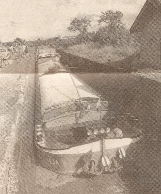 EJA - 2 (vagus).jpg (250.36 Kio) Vu 4690 fois EJA - 2 (vagus).jpg