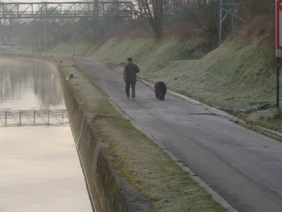 HPIM0519.JPG (79.64 Kio) Vu 3593 fois HPIM0519.JPG