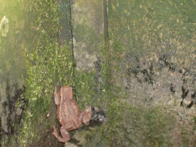 HPIM0699.JPG (95.33 Kio) Vu 2657 fois HPIM0699.JPG