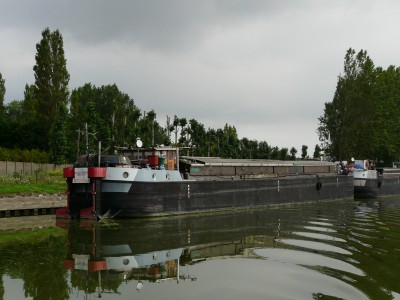rani-dk-ar.JPG