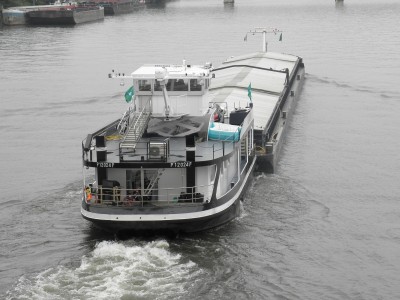 P8080237.JPG (339.83 Kio) Vu 2704 fois P8080237.JPG