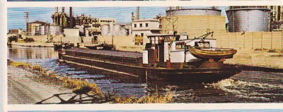 IMGmarite.jpg (189.89 Kio) Vu 11745 fois IMGmarite.jpg