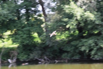 010.JPG (100.47 Kio) Vu 2912 fois 010.JPG