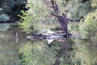 012.JPG (632.42 Kio) Vu 2785 fois 012.JPG
