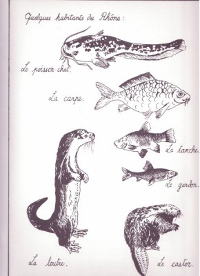 habitantsrhone.jpg (61.71 Kio) Vu 10609 fois habitantsrhone.jpg