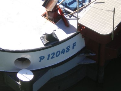 IMGP5042 [800x600].JPG