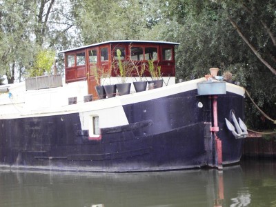 PICT8320_petit.jpg