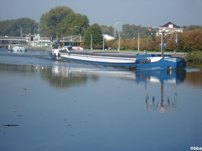 DSC07363.JPG (65.39 Kio) Vu 7571 fois DSC07363.JPG