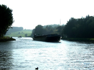 Dorisavalant.JPG (162.96 Kio) Vu 2271 fois Dorisavalant.JPG