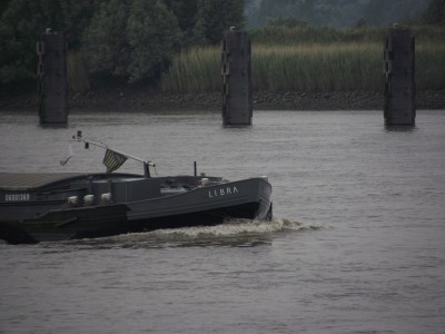 2011_06052010_12050042.JPG (175.85 Kio) Vu 1508 fois 2011_06052010_12050042.JPG